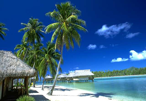 Tropical Paradise TropicalParadise1