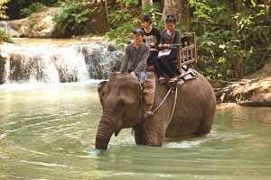 Uniworld River Cruises