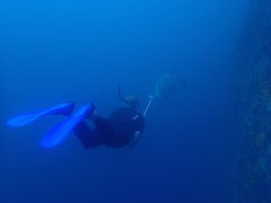 G Adventures GoPro