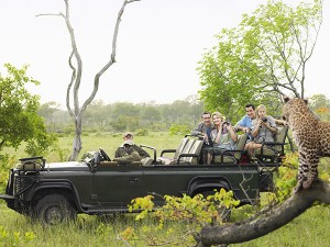 African Safari