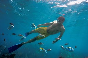 Royal Caribbean Shore Excursions