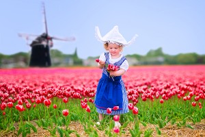 Tulips