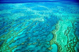 Great Barrier Reef