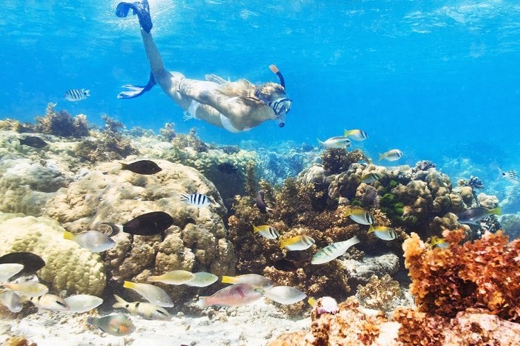 Learn unique things to do in Cancun from TPI/Apple Vacations.