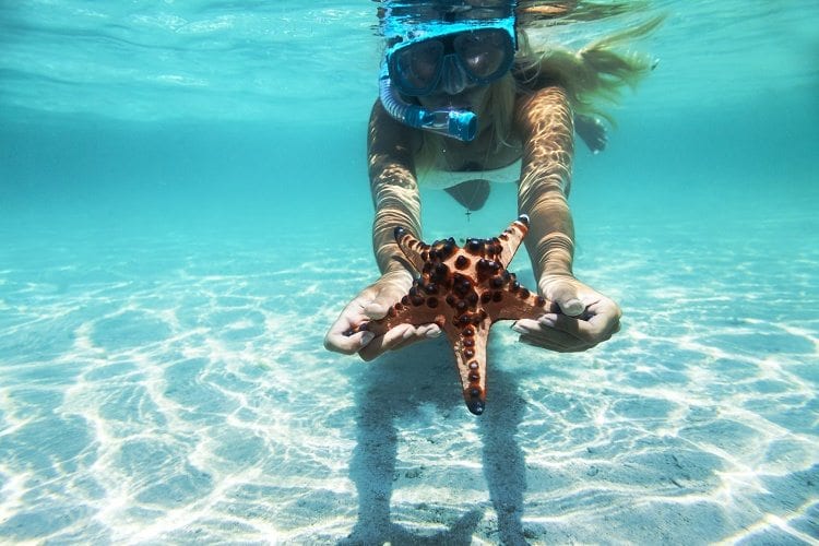 Unusual things to do in the Bahamas-Travel Planners International