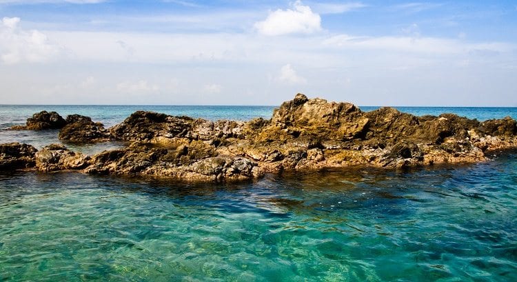 Weird and unusual things to do and see in Puerto Rico-TPI